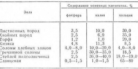 Kako koristiti pepeo kao đubrivo